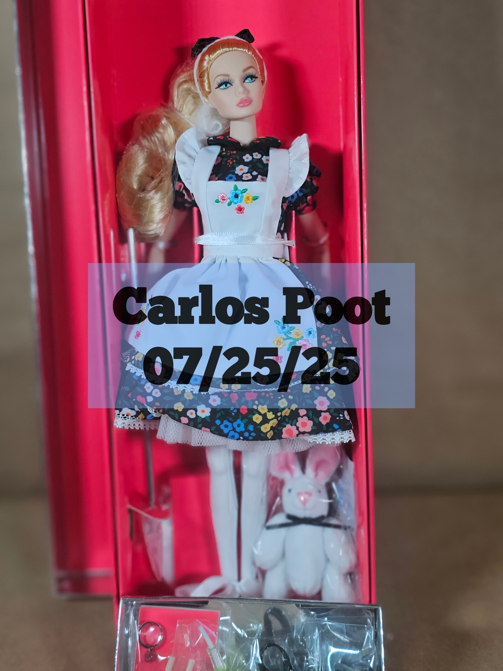 Poppy Parker So Curius Members Only
